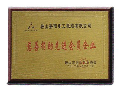 慈善捐助先進(jìn)會(huì)員企業(yè)